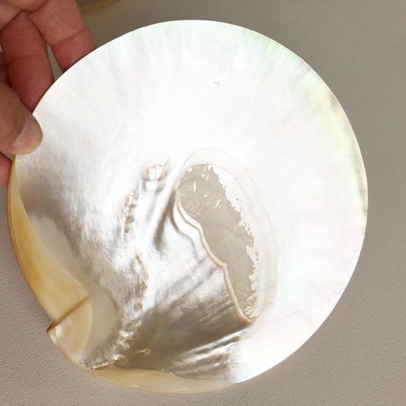 2 Natural Abalone Mother of Pearl Plates Palette M - Picture 5 of 8